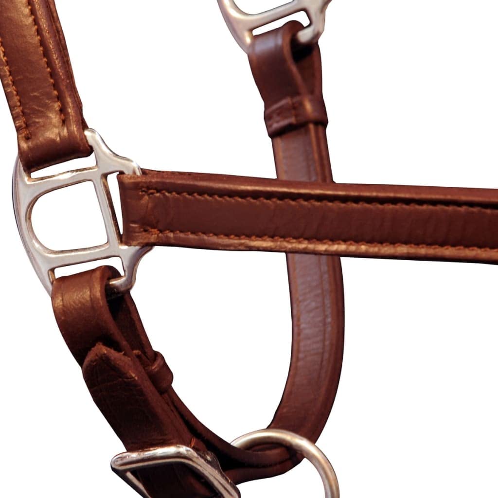 Cabestro de piel auténtica, cabestro estable, ajustable, color marrón, muebles para traje