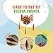 TexMex Fun Stuff - Jumbo Pinata, Traditional Mexican Large Pinata, 5 Point Silver Star Mexican Pinata with Rainbow Tassels, Foldable with 30 Ft Rope Included, Holds up to 4-5 Pounds, 33 Inches