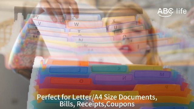 Watch ABC life A-Z Accordion File Organizer 26 Pockets on Amazon Live