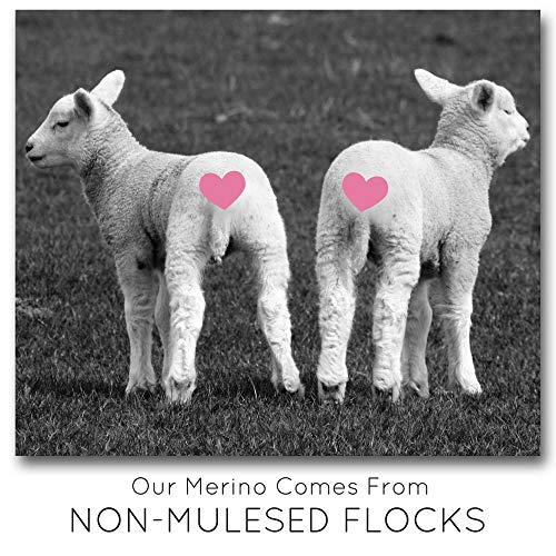 Living Dreams Flax Botanica Dk Yarn. Elegant Merino Linen Silk. Cruelty Free & Responsibly Sourced. Pacific Northwest Handmade. Three Skein Pack, Pearl #TOP4