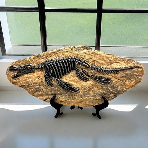 Mosasaurus dinosaure fossil model squelette simulé résine - 6