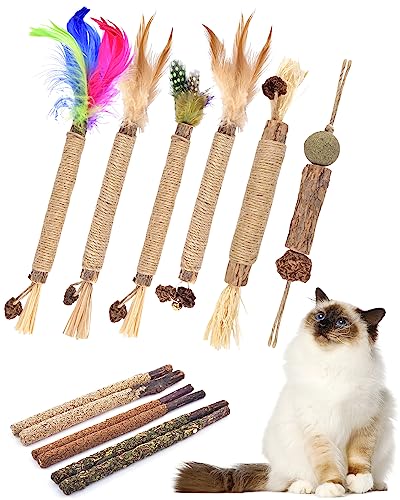 TINDTOP 12 Pack Silvervine Chew Sticks