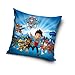 Pat' Patrouille Coussin, Microfibre, Bleu Clair, 40x40x15 cm