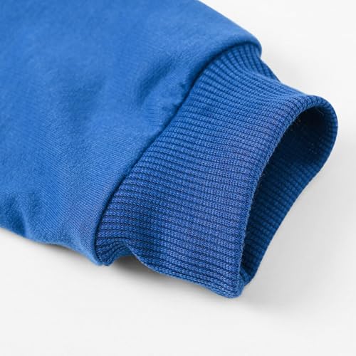 Kids Boys Cartoon Hooded Sweatshirts Fall Long Sleeve Thick Warmth Athletic Casual Tops Girls Fashion Cozy Pullovers3