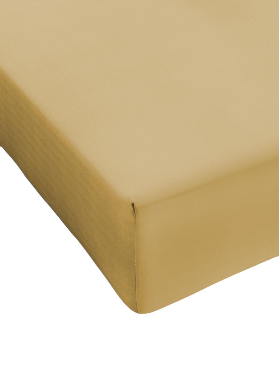 Drap-housse 1 place 100% coton de qualité supérieure Coingrostex ocre