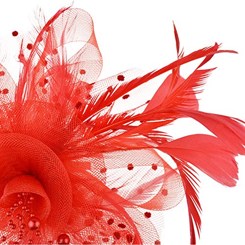 Image of DRESHOW Fascinators Hat Flower Mesh Ribbons Feathers on a Headband and a Clip Tea Party Headwear for Girls and Women
