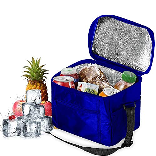 Nevera lunch decathlon ✔️ Mejores Ofertas 2022