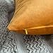 MIULEE Pack of 2 Velvet Soft Solid Decorative Square Throw Pillow Covers Set Cushion Case for Fall Sofa Bedroom Car18x18 Inch 45x45 Cm