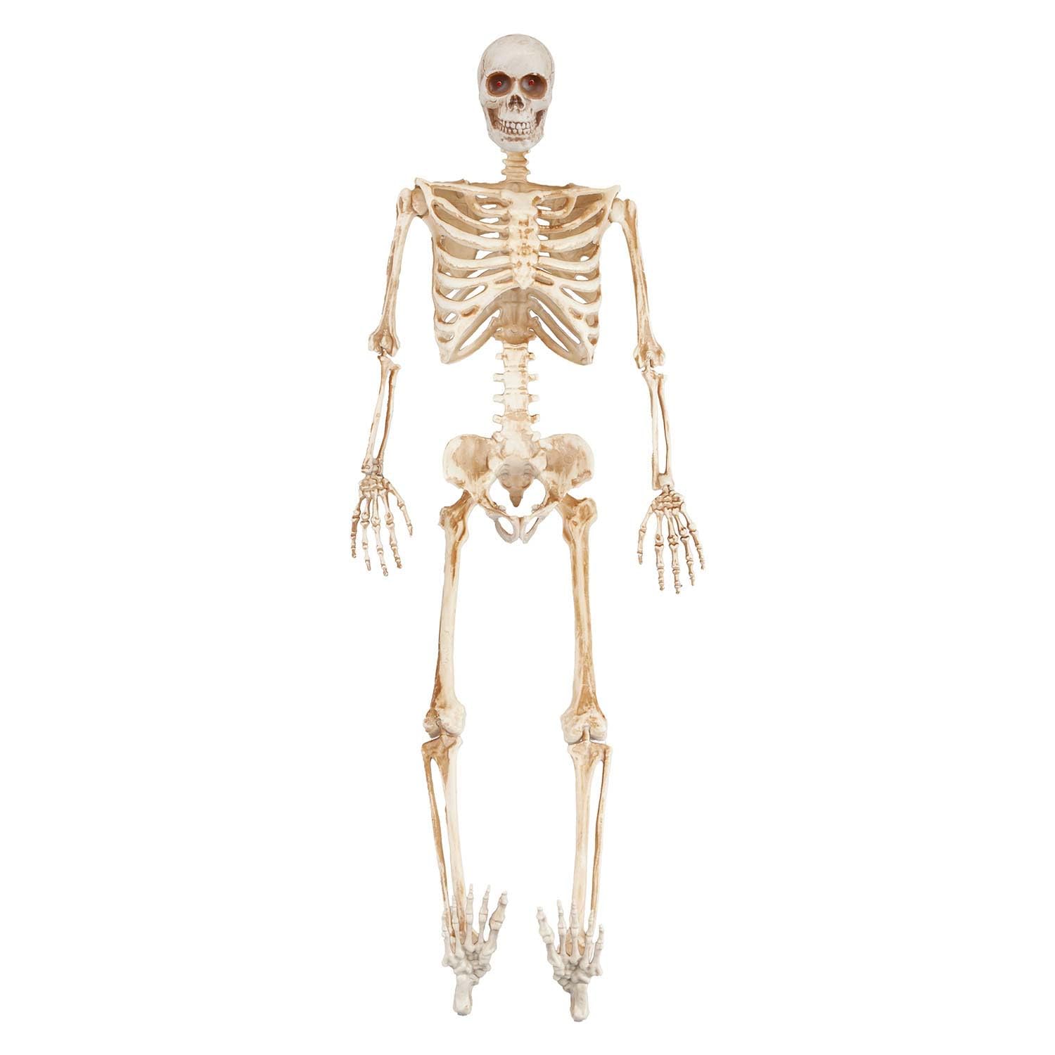 Halloween Skeleton Decoration Led Eyes Trick Or Treat Party 36 Inch from B&Q