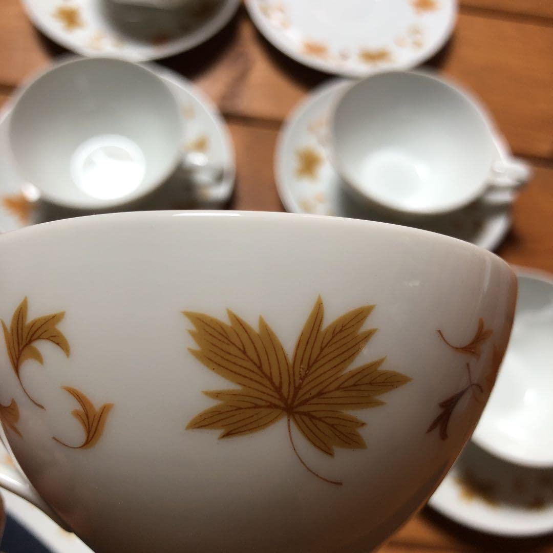 未使用　オールドノリタケ　6客　メープルリーフ 未使用 オールドノリタケ 6客 メープルリーフ 【公式通販】