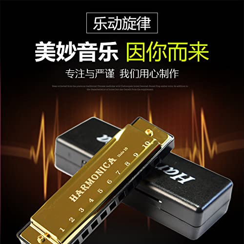 Harmonica 10 trous C blues harmonica instrument clé JOUET éducatif avec boîte enfants harmonica coloré cadeau pour… - Les Beatles, Paul McCartney, John Lennon, RIngo Starr, George Harrison Harmonica 10 trous C blues harmonica instrument clé JOUET éducatif avec boîte enfants harmonica coloré cadeau pour… – Image 3