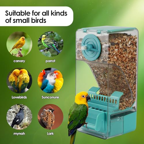 Image of Bird Feeder No Mess 2PCS Automatic Clear Bird Seed Food Container Acrylic Parrot Feeder Dispenser Cage Accessories for Parakeet Budgies Cockatoo Canary Love Bird (Blue)