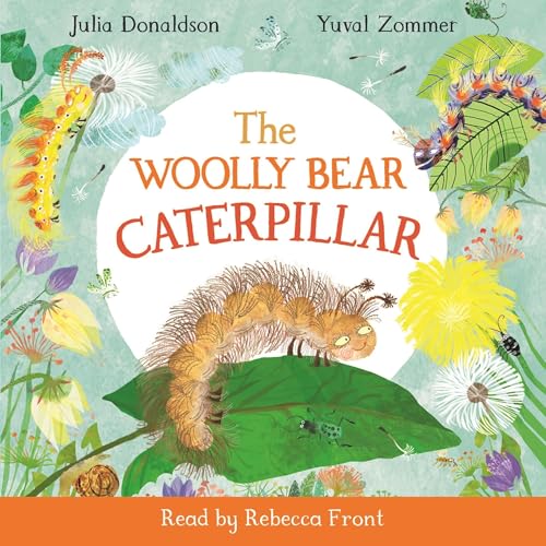 The Woolly Bear Caterpillar by Julia Donaldson, Yuval Zommer episode artwork