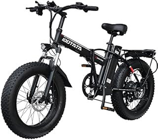 DEEPOWER G20 Electric Bikes 20" Fat Tire 250W Folding Ebike 25KM/H 48V 12.8AH Removable Lithium Battery Shimano 7-Speed Lockable Suspension Fork Electric Mountain Bicycle for Adults