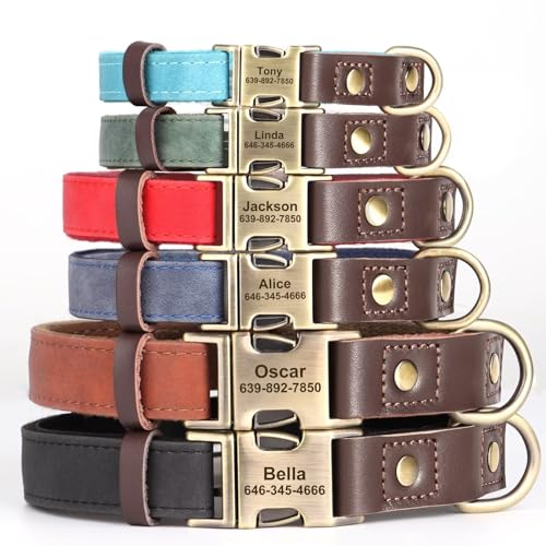 Didog Hundehalsband aus PU-Leder, weiches und strapazierfähiges Hundehalsband mit verstellbarem Weihnachtsschild und Metallschnalle mit Schnellverschluss für kleine Hunde