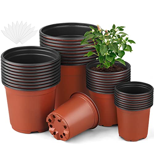 Hahood Paquete de 36 macetas de plástico de 3.5, 4, 5 y 6 pulgadas, con agujeros de drenaje, macetas de semillas para plántulas, interiores y exteriores, trasplantar suculentas, rojo