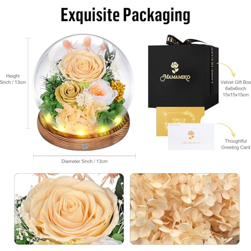 Preserved Roses in Glass Dome with LED Light - Long Lasting Real Roses, Forever Flowers for Delivery, Mothers Gifts for Her, Mom, Wife Anniversary Birthday Gifts for Women, Champagne - Image 6
