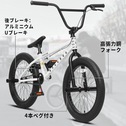 AVASTA BucchusBMX 20インチ