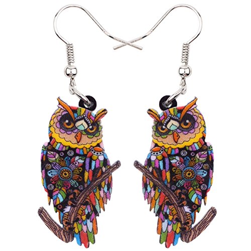 Bonsny Jewelry Pendientes de búho con diseño de pájaros acrílicos para niñas, mujeres, niños y ambos lados