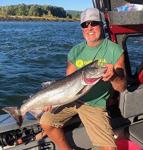 Image of Fishoholic Baseball Fishing Hat ~ 6 Colors & 3 Sizes. Fish Logo on Trucker Snap Back or Flexfit ~ Fishaholic Reg Trademark ~ Great Gift Ocean Saltwater Fly Trout Bass if You Hunt Quad BBQ Tailgate.