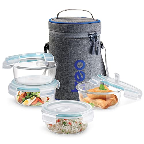 Treo by Milton All Fresh Borosilicate Glass Tiffin (380 ml, Set of 4, Transparent)