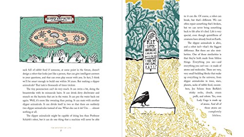 The Mystery of Life: How Nothing Became Everything - Image 2