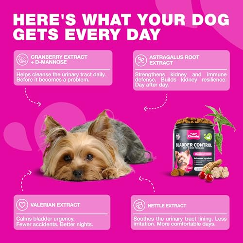 Image of Dog UTI Treatment - Dog Cranberry Supplement for Bladder & Kidney Health, Urinary Tract, Incontinence Support - Cranberry Supplement for Dog Incontinence - Bladder Control Cranberry Chews