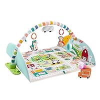 Fisher-Price GJD41 -