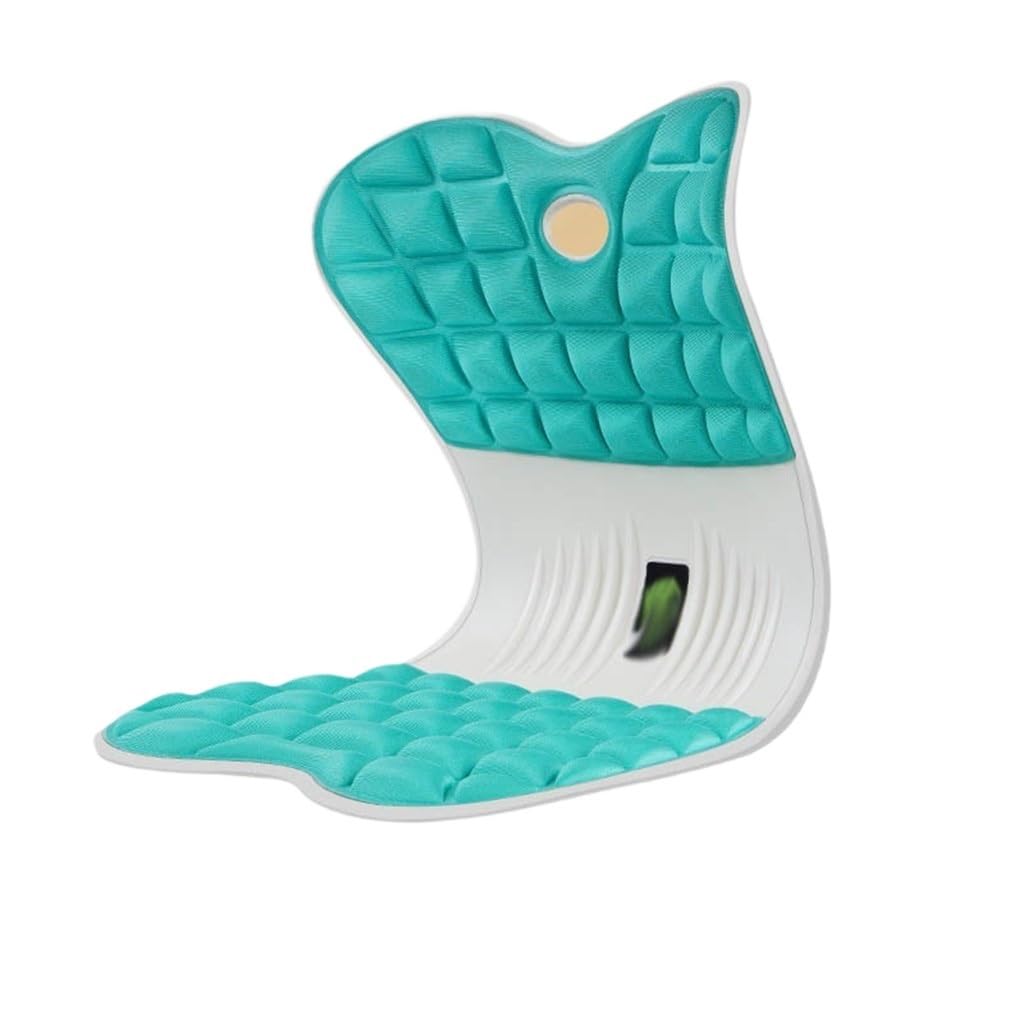 Coussin de Protection Lombaire Capital orthopédique Orthèse de Dossier Anti-bossu