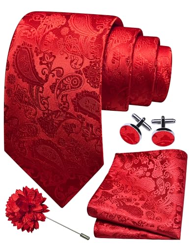 GUSLESON Men's Paisley Tie and Cufflinks Set