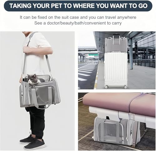 HOCLAUHO Transporttasche Katze Hund Groß Tragbare Haustiertasche für draußen Faltbar atmungsaktiv Große Kapazität für Zwei kleine Katzen, Autoreise Tragetasche für Katze mittel große Hund(Schwarz)