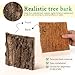 SEWACC 4pcs Cork Bark Bits Reptile Bark Bedding Flat Cork Bedding Terrariums Substrate for Snake Spiders Bearded Dragons Frogs Tank Supplies