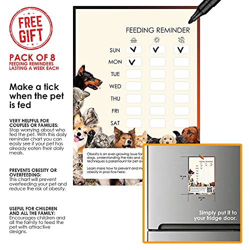 Purina-One-Adult-Cat-Dry-Food-Chicken-Whole-Grains-6-kg-plus-Feeding-Reminder