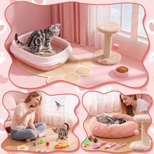 Kitten Starter Kit - 37 Pcs of Cat Essentials for Indoor Kittens - Image 4