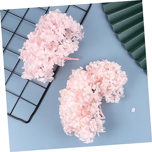 Pétalos de flor secos para decoración y arte de uñas miniatura 4