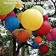 22 Stück Bunte Papierlaternen Lampions Papier Laterne Lampenschirm 10 Farbe 4 Größen für Feiertagen Hochzeit Party Geburtstage Gartenparty Babyparty Deko innen und Außen