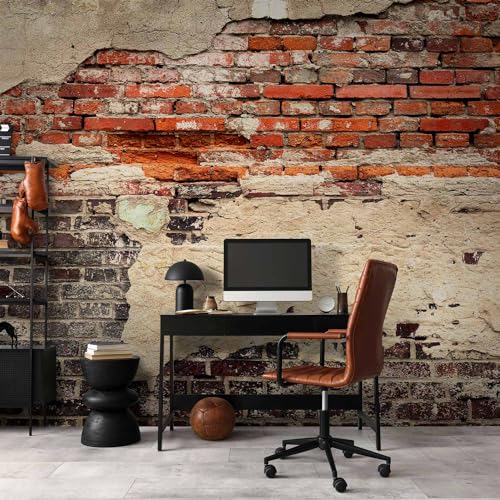 murando - Fototapete XXL Ziegelmauer 500x280cm- Foto Tapete Schlafzimmer Wohnzimmer Vliestapete XXL Wandtapete Motivtapeten Bildtapete 3d Effekt Wand Dekoration - Ziegel Ziegelstein f-A-0503-x-b