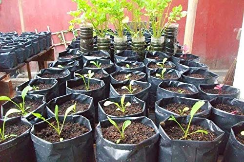 Plant Option UV Protected Nursery Black Plastic Poly Grow Plant Bags 19 x 21 Size (20 Bags)