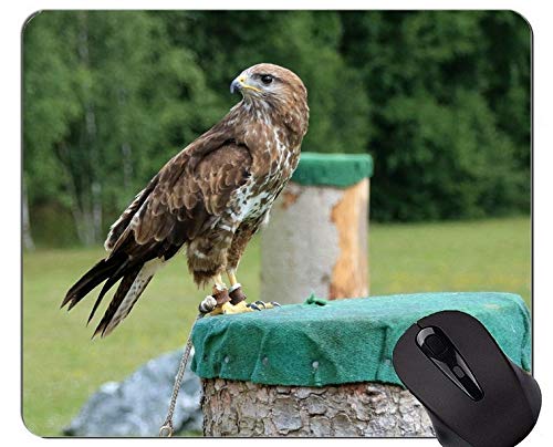 Eagles Unique Custom Mouse Pad Mousepad,Falcon Mouse Pads