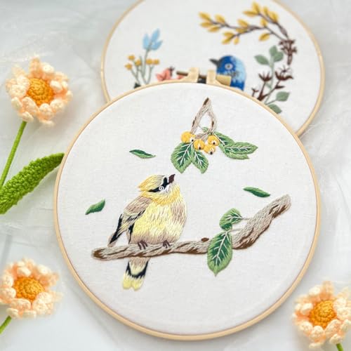 Image of FOCCTS Hummingbird and Flower Embroidery Kit, DIY Embroidery Kits with Patterns and Instructions Hoops Needles Threads, Embroidery Starter Kit for Beginners Adults