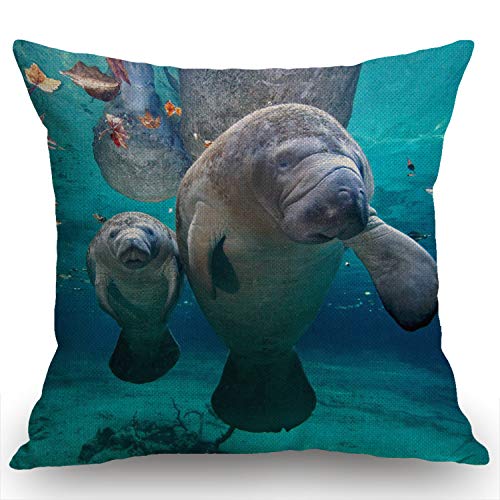 Swono Florida Manatee Mother and Baby Rustic Decoration Farmhouse Décor Cotton Linen Home Decorative Throw Pillow Case Cushion Cover for Sofa Couch, 18