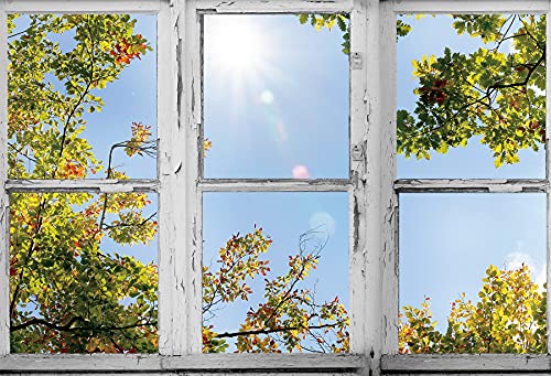 Yeele 6x4ft Outside Window Backdrop Natural Leaves Scenery Sunnyday Photo Backdrops Vintage Shabby White Wooden Window Frame Party Banner Wall Decor