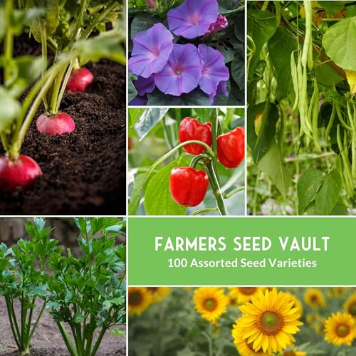 Survival Seed Vault Kit – 100 Packs of Heirloom Vegetable Seeds for Planting – Non-GMO Vegetables, Fruits, Herbs – Farmer Kit to Grow Food for Long-Term Emergency Storage – Survival Garden Seeds - Image 4