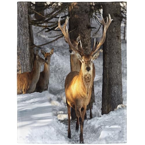 YISUMEI Decke 150x200cm Flauschige Kuscheldecke Weich Flanell Fleecedecke Wald schne Elch