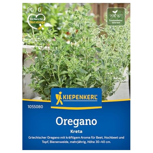 Kiepenkerl Oreganosamen Kreta 1055080 - griechischer Oregano - kräftiges Aroma - mehrjährig - Bienenweide - Pflanzen Samen, Saatgut, Kräutersamen
