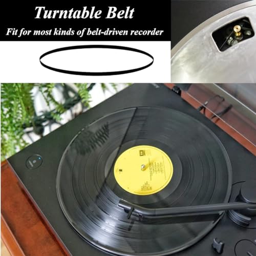PLABBDPL 2pcs Ersatzriemen für Plattenspieler,20cm Länge,hochwertiges Gummi für beste Antriebsleistung und perfekten Musikgenuss,Recorder Teile,Phonograph Gürtel,passend für viele Plattenspielertypen