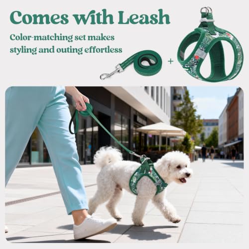 Image of rabbitgoo Dog Harness Small Sized and Leash Set, Step-in Puppy Pet Vest