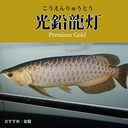 Amazon でんらい アロワナ ライト 水中 照明 Led 2列 光鉛龍灯 プレミアムゴールド Ex 150cm水槽用 143cm Ag150 Ex Denrai Asia ライト 照明 通販
