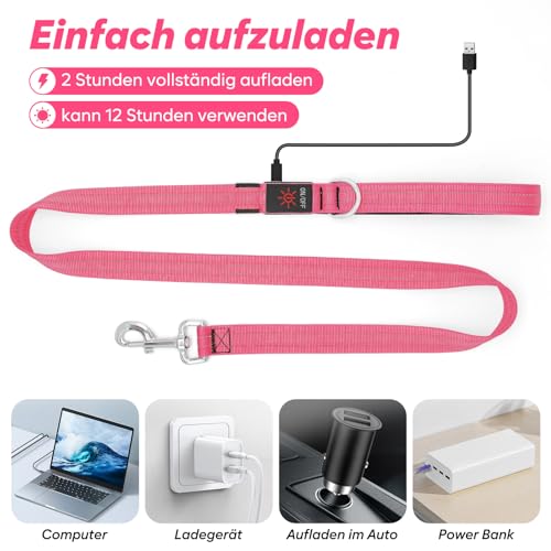 KOSKILL 1,2 m LED Hundeleine, USB wiederaufladbare Beleuchtete Hundeleine Sicherheits für nächtliche Spaziergänge, reflektierende Nylonleinen mit gepolstertem Griff für mittelgroße und große Haustiere