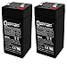 Mighty Max Battery 4 Volt 4.5 Ah SLA Replacement Battery for Leoch LP4-4.5 - 2 Pack Brand Product